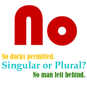 Plural and Singular Nouns  Plurals, Singular nouns, Advanced english  vocabulary