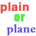 plain 과 plane 의 차이점